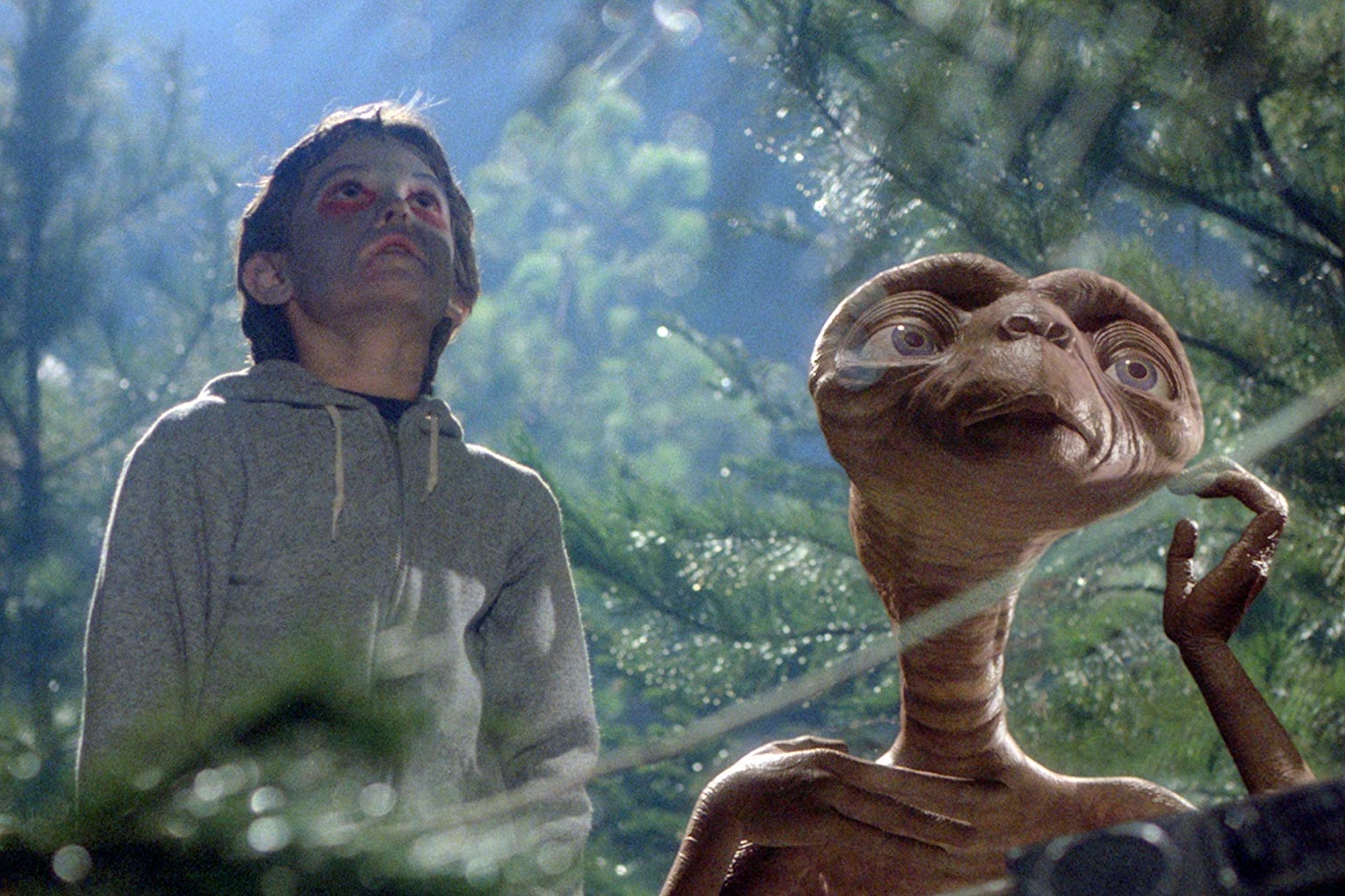 E.T. the Extra-Terrestrial<br/><span class='data-program'>(SUA, 1982)</span>